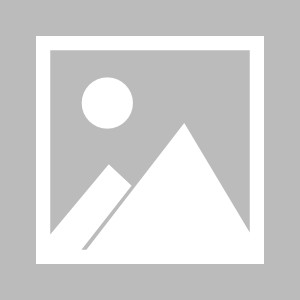 五大联赛直播-双线受挫后没掉队 利物浦小遇波折客场取胜